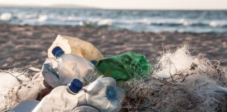 Plastikowe odpady na plaży