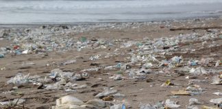 Śmieci wyrzucone na morską plażę